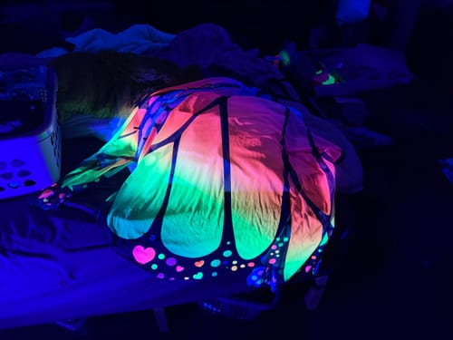 Customer photo review of Rainbow Wings Monarch Wings