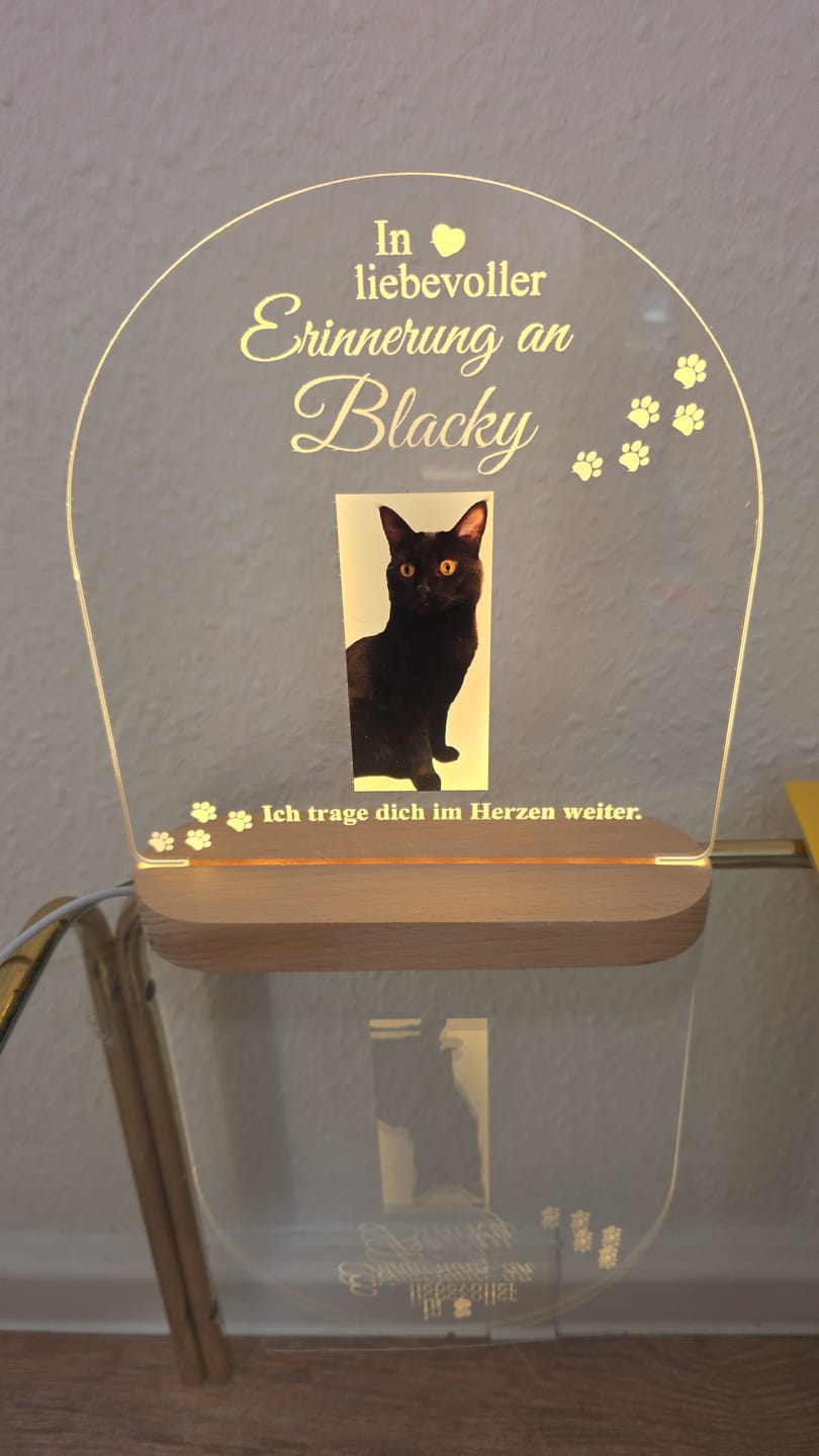 Customer photo review of Zur liebevollen Erinnerung – LED-Lampe für Hund/Katze