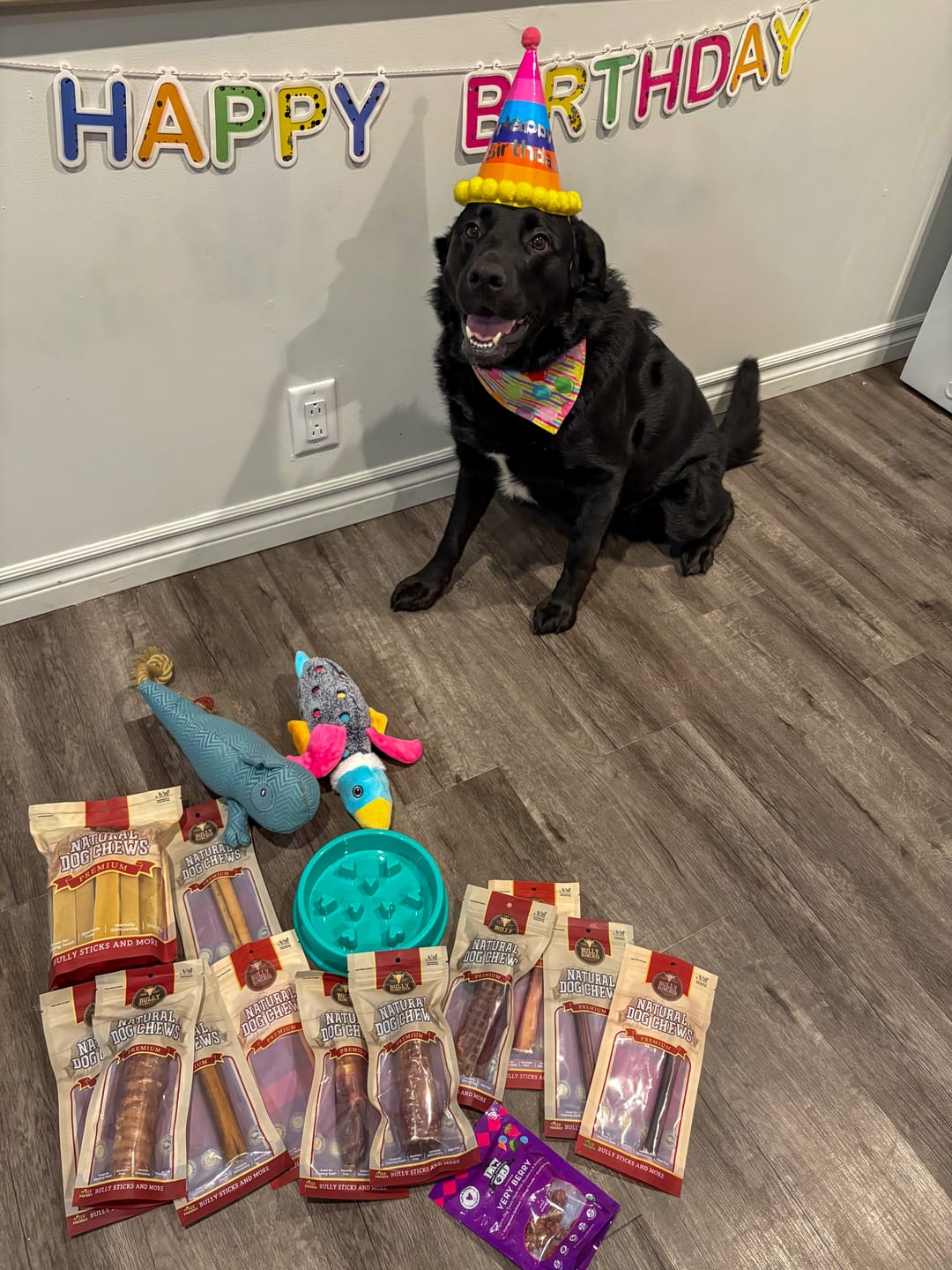 Customer photo review of Himalayan Yak Chew (SMALL)