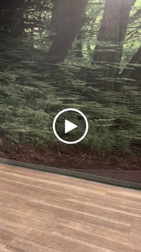Customer video review of [Limited Edition] 'Mrvl: The Punish' Box Hoodie