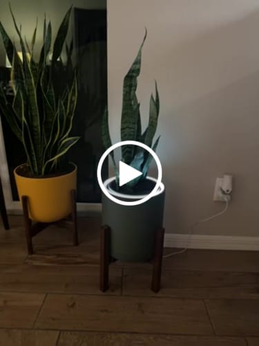 Customer video review of Aura | Medium Round LED Planter - Charcoal Black