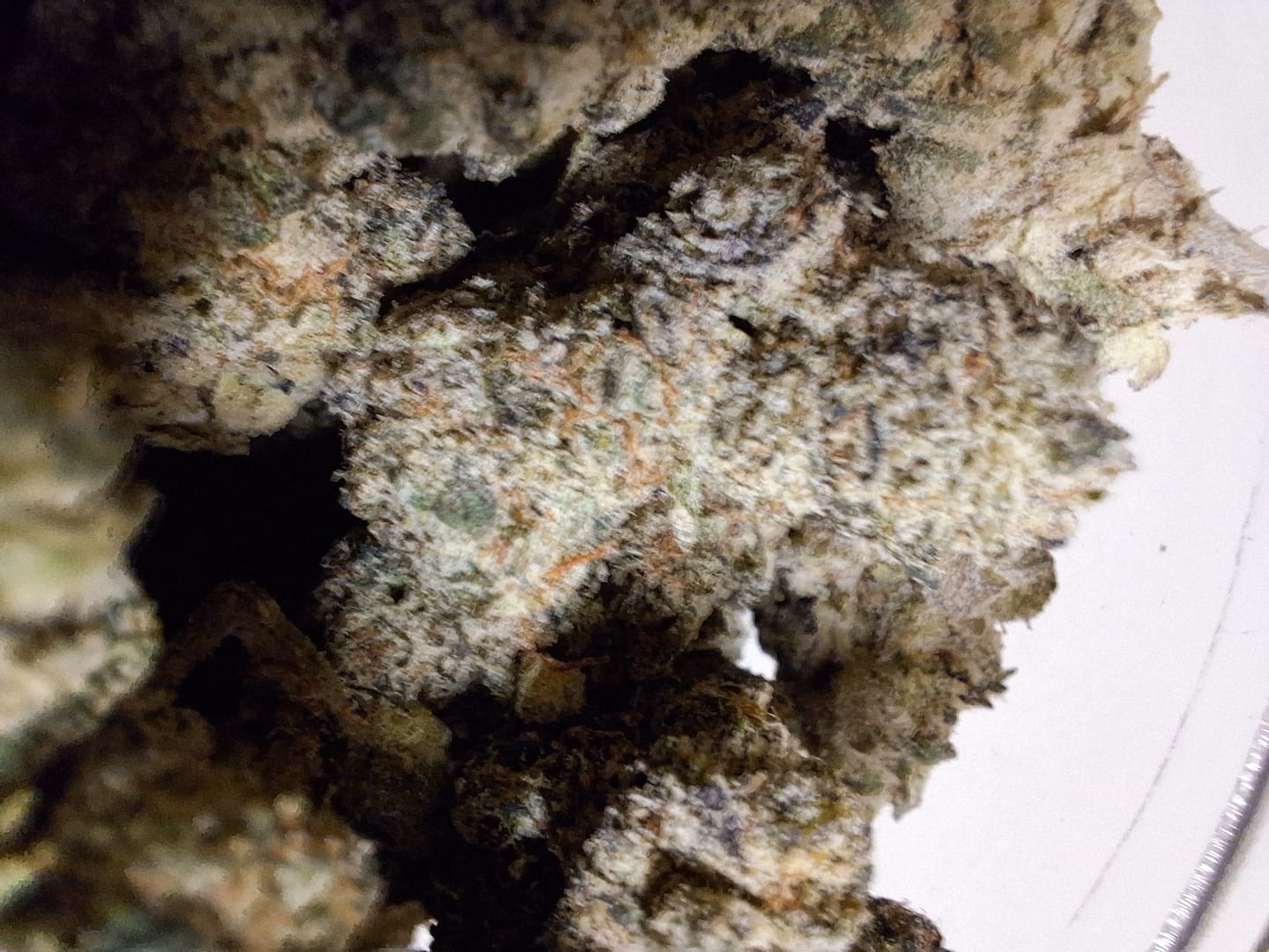 Customer photo review of Hi-Octane