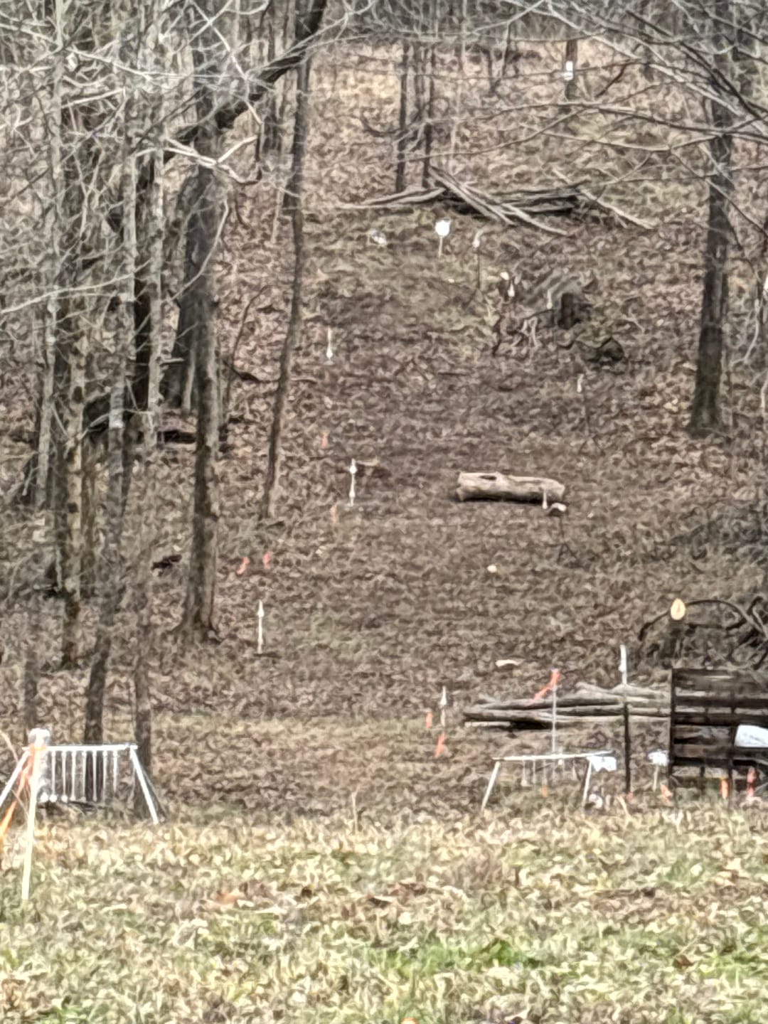 Customer photo review of Know Your Limits Target