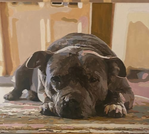 Customer photo review of Custom Paint By Numbers - Personalized Pet Portraits