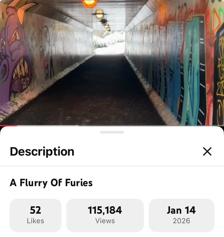 Customer photo review of YouTube Promotion