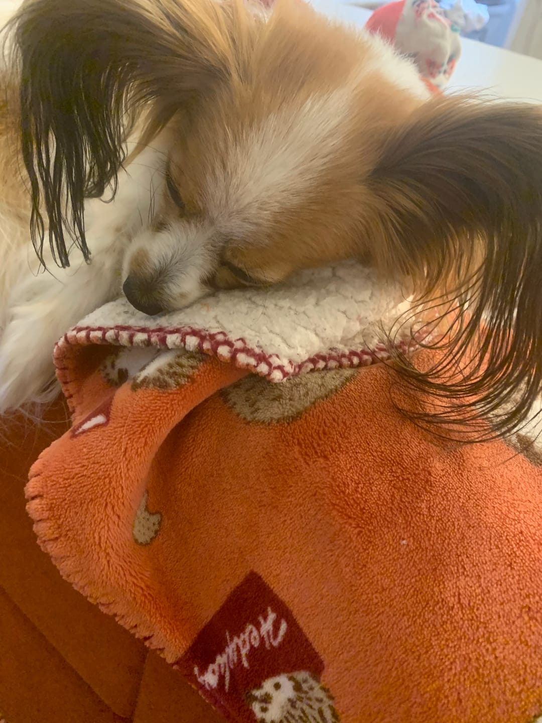 Customer photo review of Bark-Less Bites