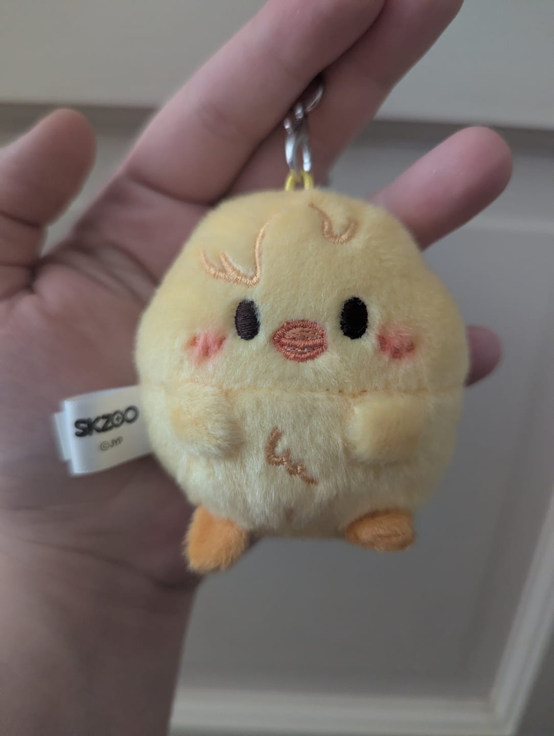 Customer photo review of STRAY KIDS - ZOOTOPIA 2 SKZOO POP UP OFFICIAL MD UFUFY PLUSH