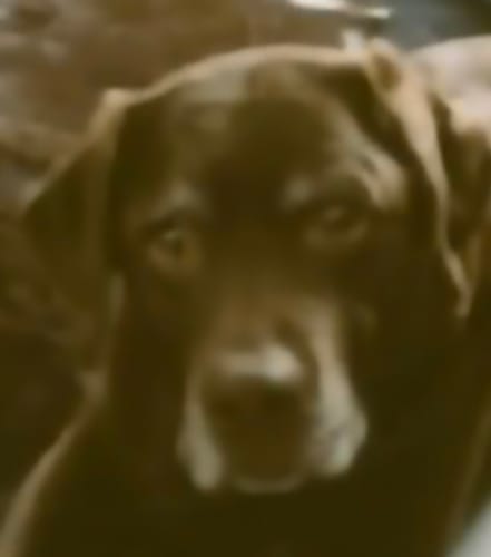 Customer photo review of Jouw Foto in Karikatuur Stijl - Gepersonaliseerde Tegel