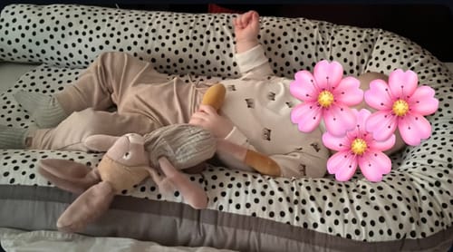 Customer photo review of Moulin Roty - Gosedjur - Kanin 30 cm - Salvia - Trois Petits Lapins