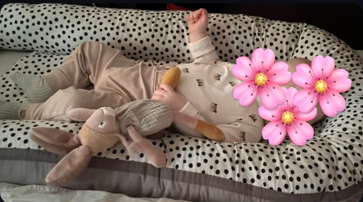 Customer photo review of Moulin Roty - Gosedjur - Kanin 30 cm - Salvia - Trois Petits Lapins