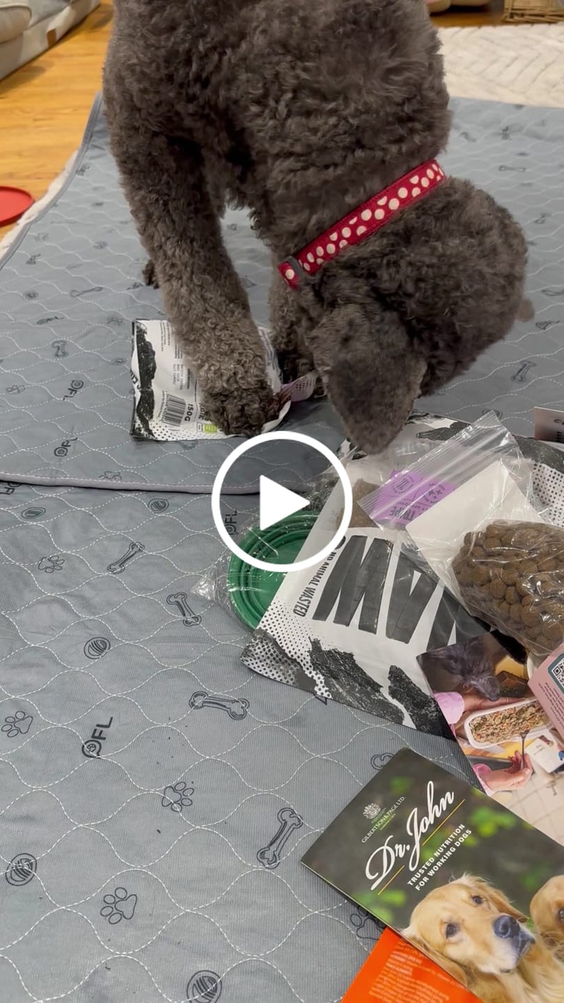 Customer video review of Buffalo Tripe (150g)