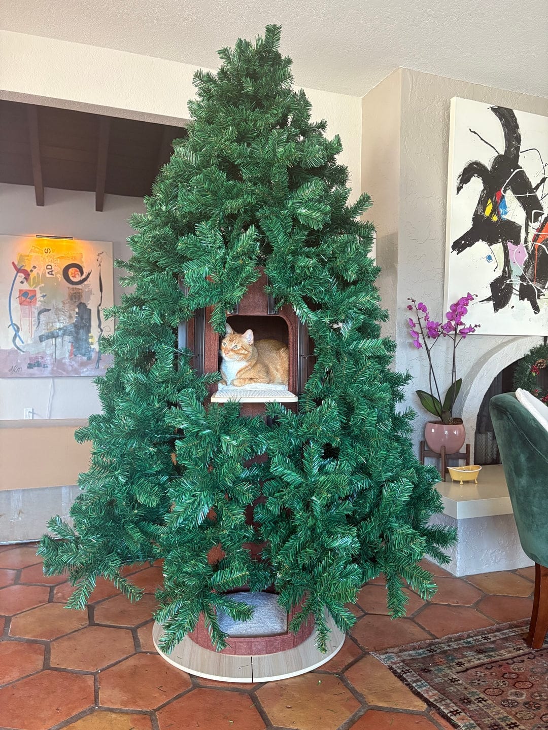 Customer photo review of Cat Christmas Tree - Sep 2026