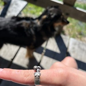 Customer photo review of Lovers Ring