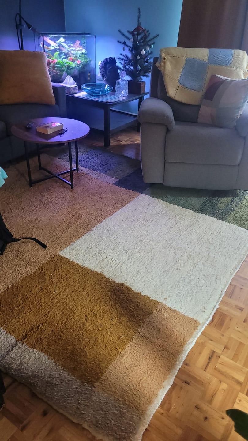 Customer photo review of Color Block Beni Mrirt Rug – Handmade Moroccan Wool