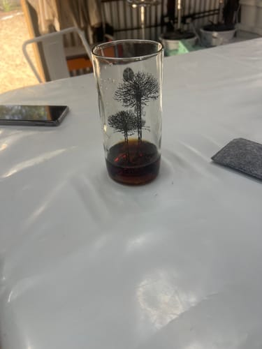 Un cliente muestra su vaso 'Árboles de Chile' con una bebida oscura que resalta el diseño de un árbol.