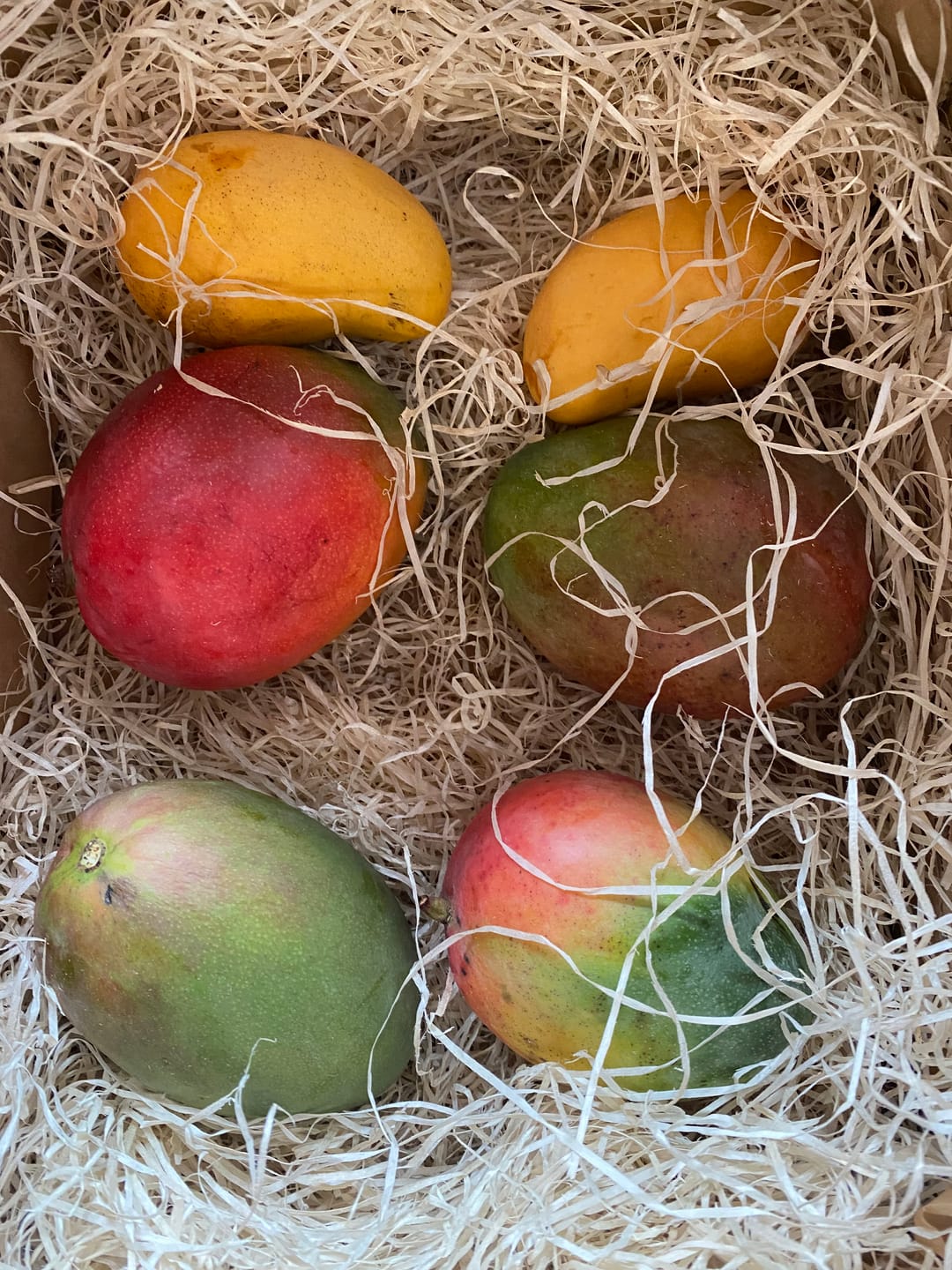 Customer photo review of Mango-Träume Mix-Box 2kg Sonderaktion %