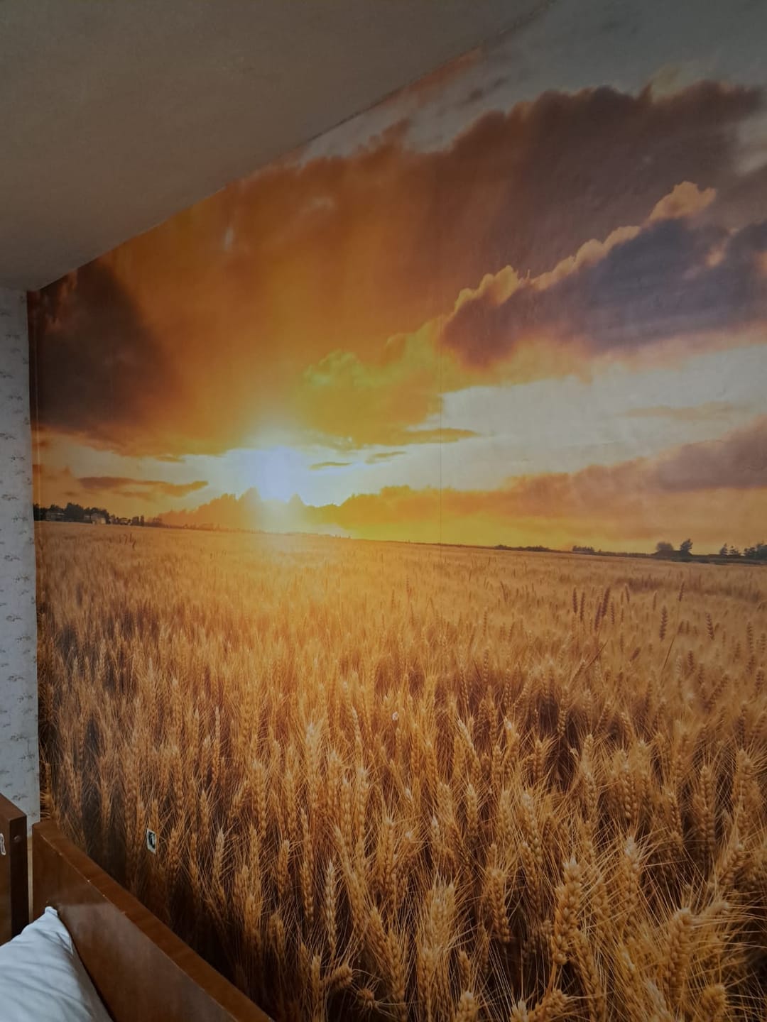 Customer photo review of Fototapete Getreidefeld Sonnenuntergang