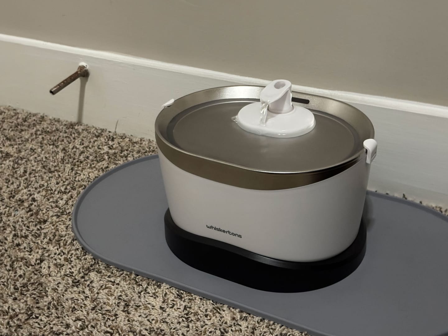 Customer photo review of EverMount Battery-Operated Pet Water Fountain