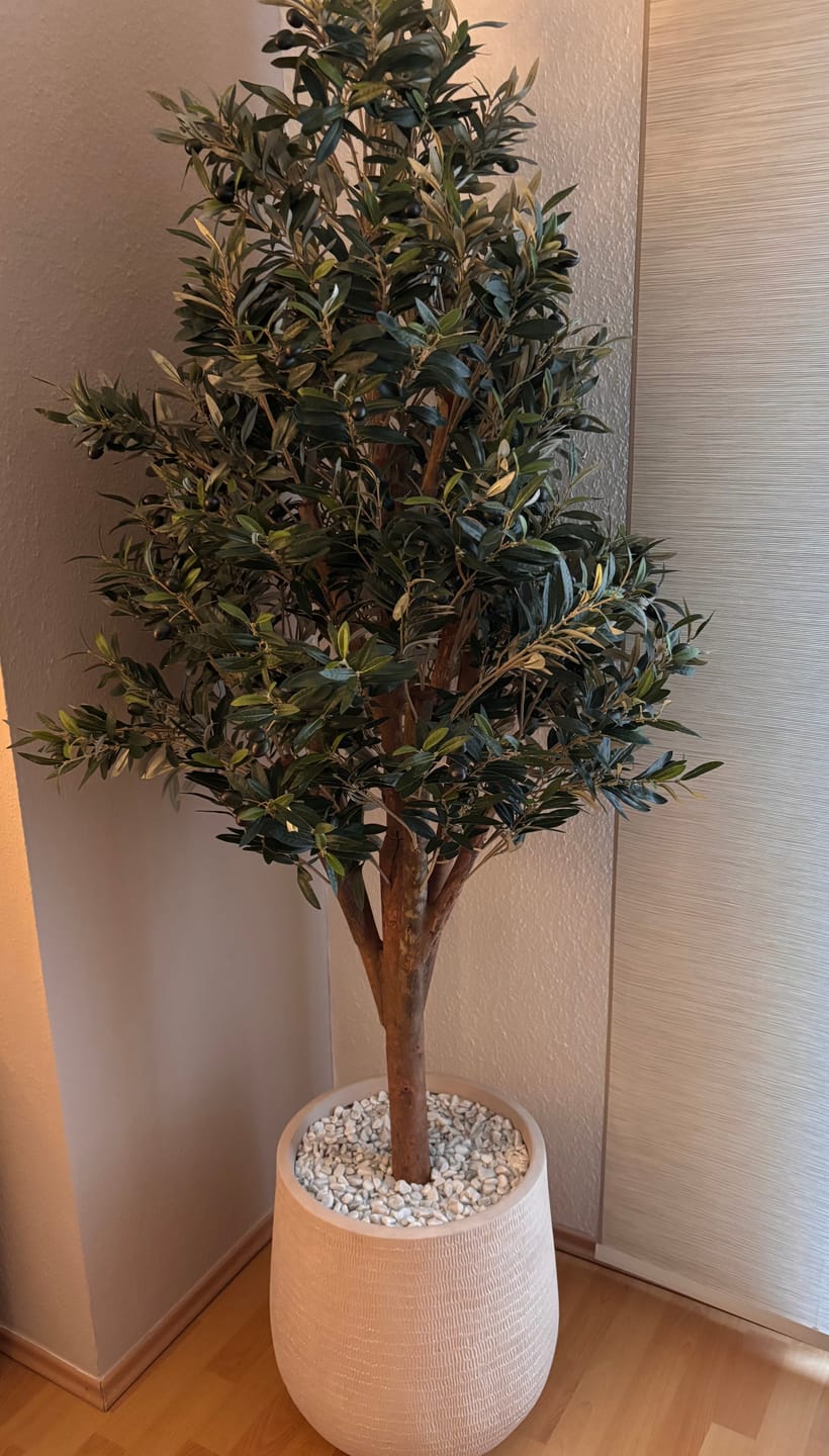 Customer photo review of Künstlicher Olivenbaum 170cm Deluxe