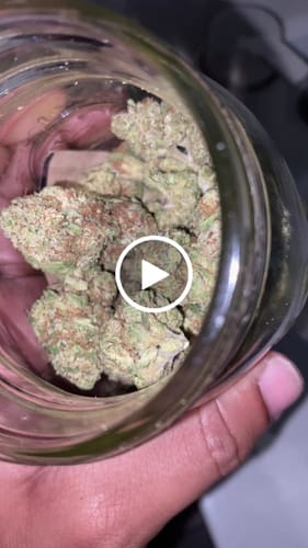 Customer video review of Double Cake - Light Dep THCA (Full Size)