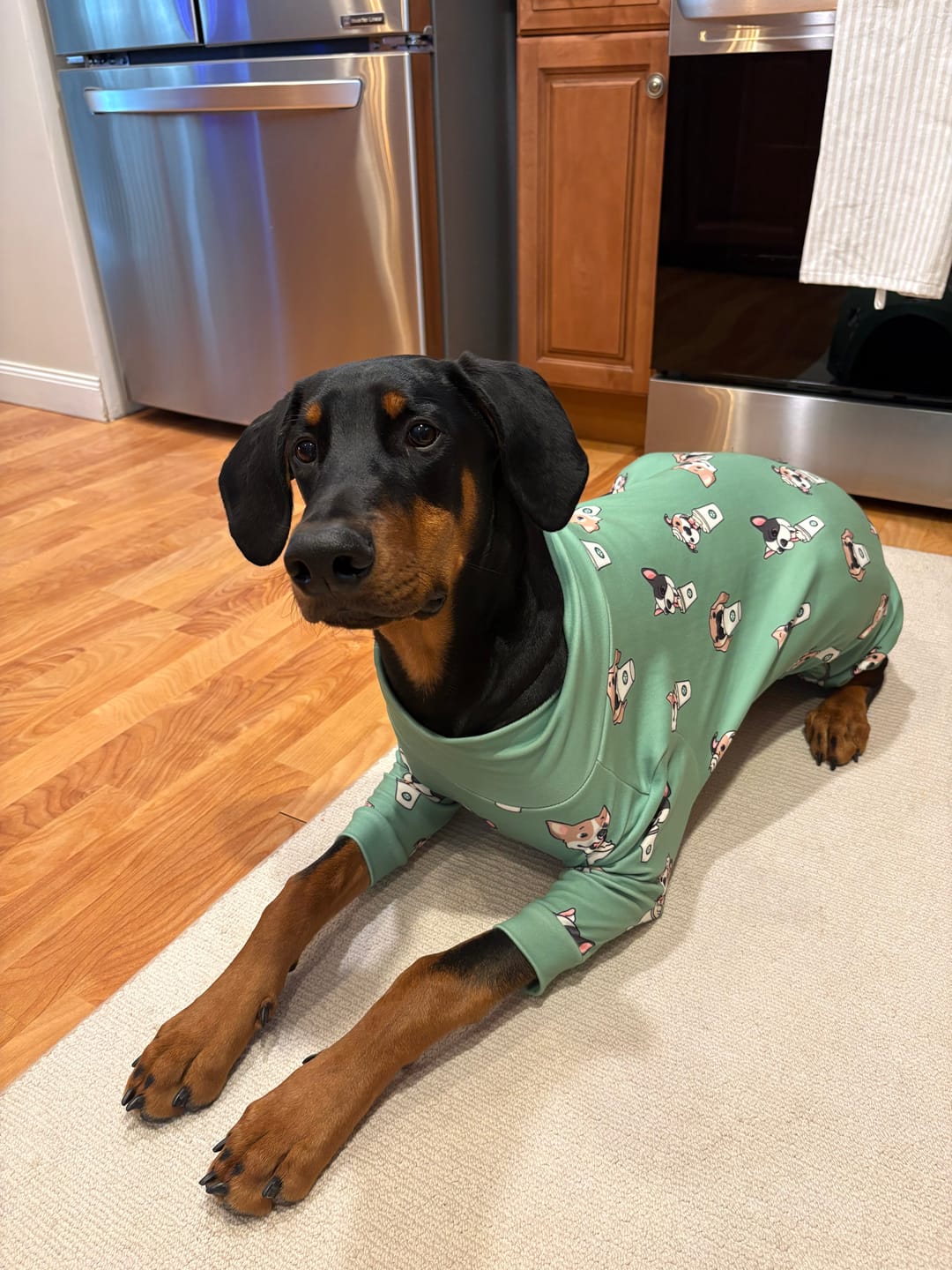 Customer photo review of Dog Pajama - Pup Cup