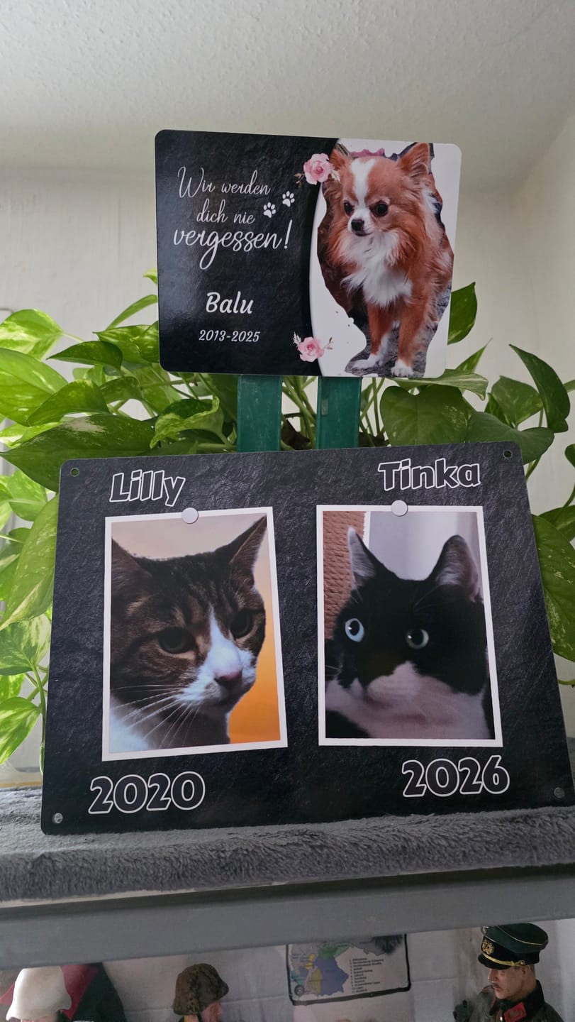 Customer photo review of Hunde-Türschild personalisiert mit Foto & Text (UV- und wetterfest)