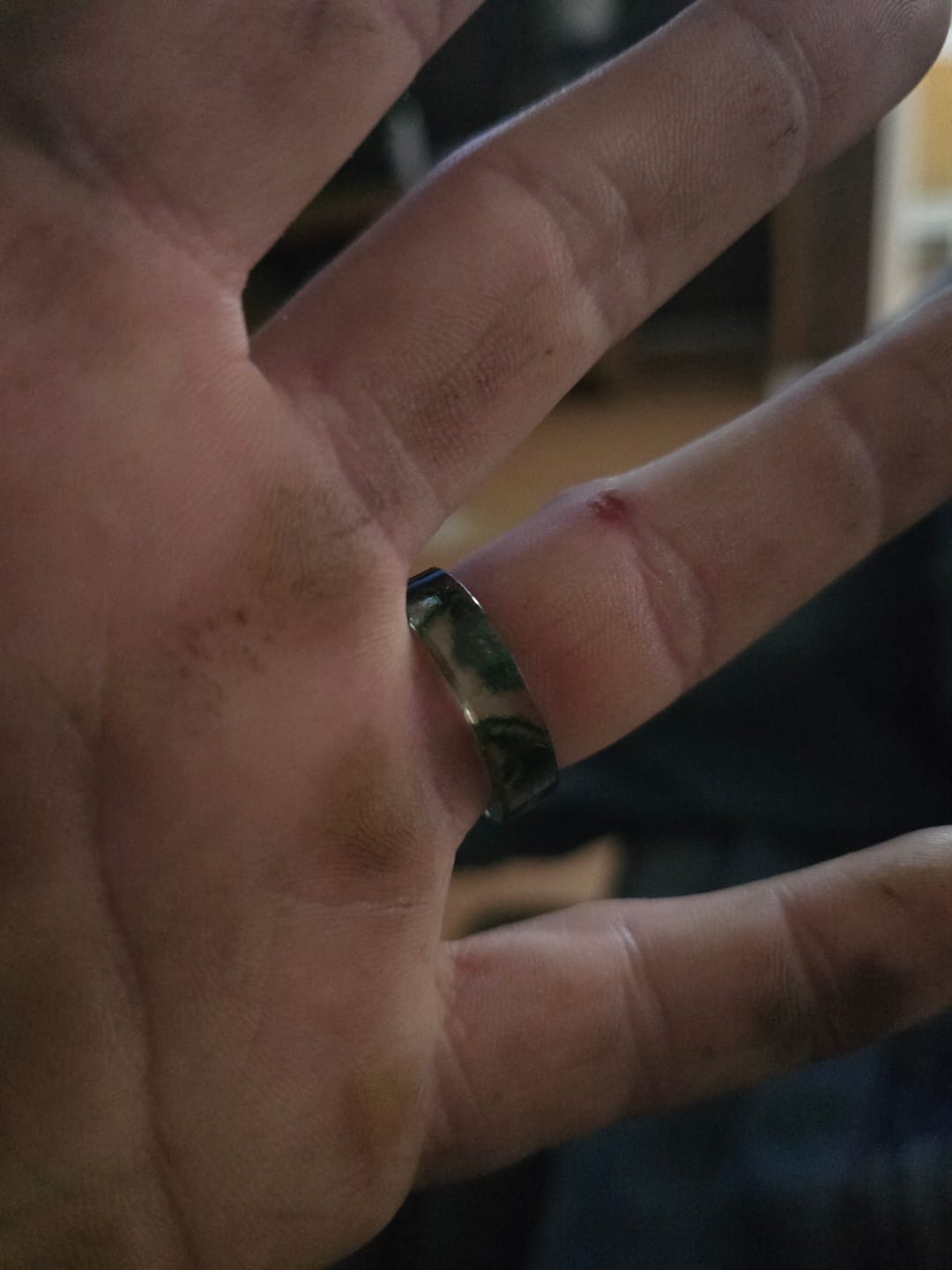 Customer photo review of Forest Soul Ring