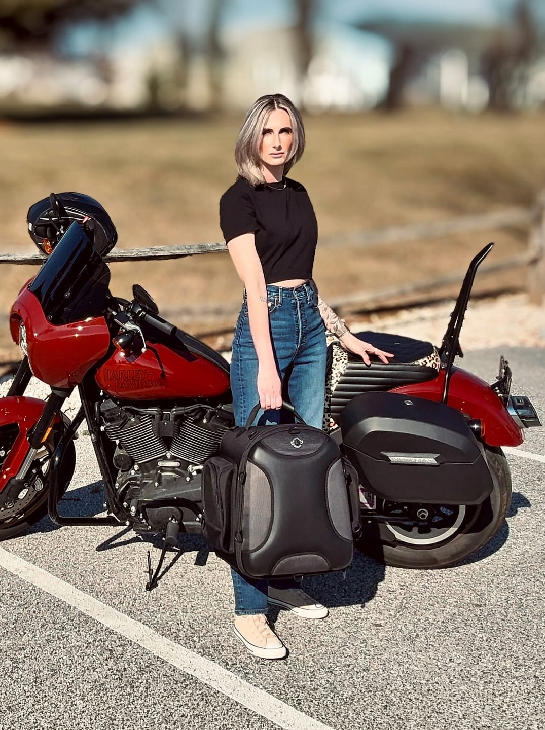 Customer photo review of 32L - Darkin Large Quick Mount Leather Wrapped Hard Saddlebags for Harley Softail Low Rider S FXLRS