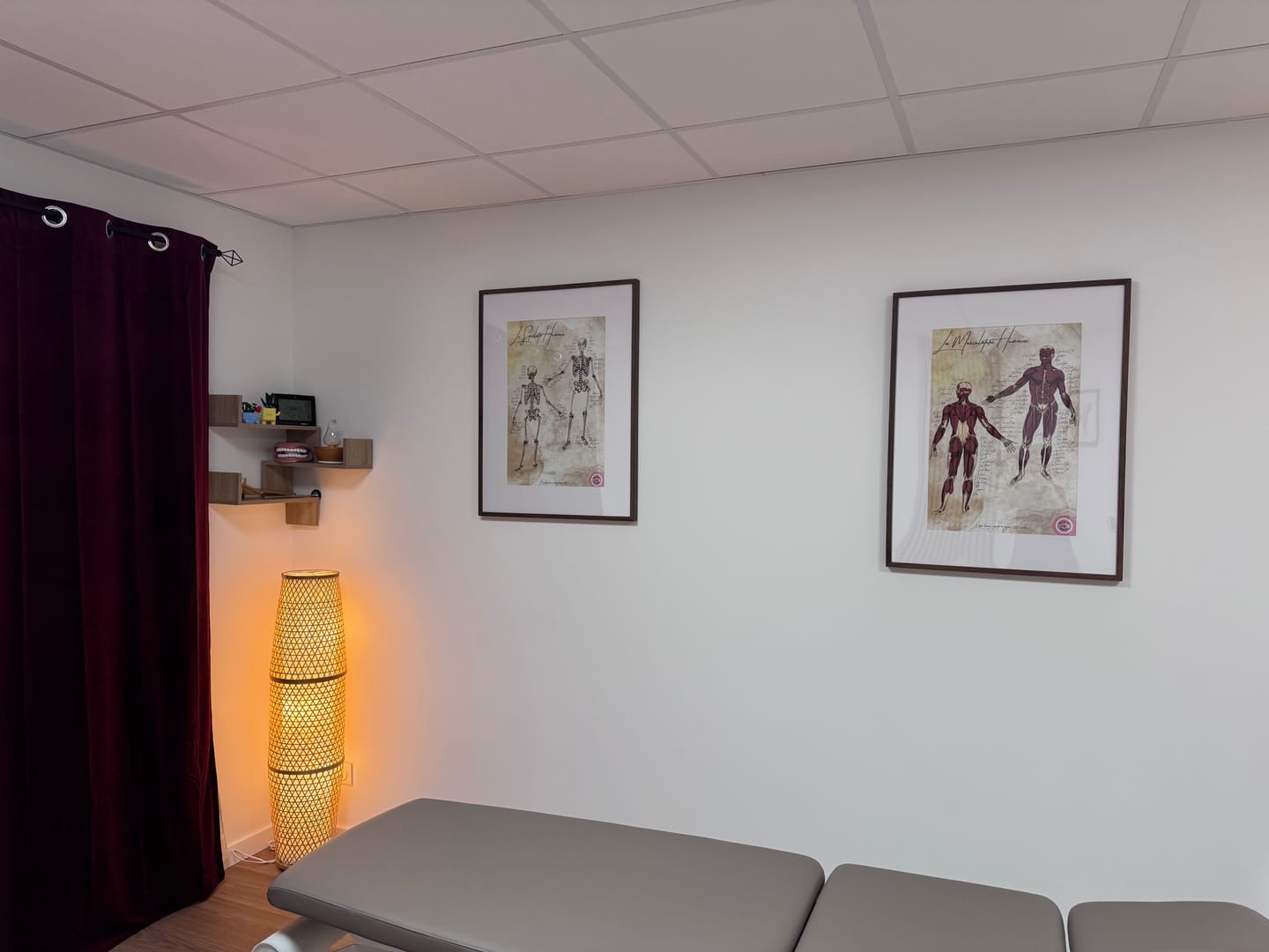Customer photo review of Pack planches anatomiques basiques