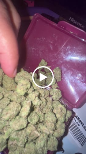 Customer video review of Gas Cake  - 28 Grams Littles - Indica
