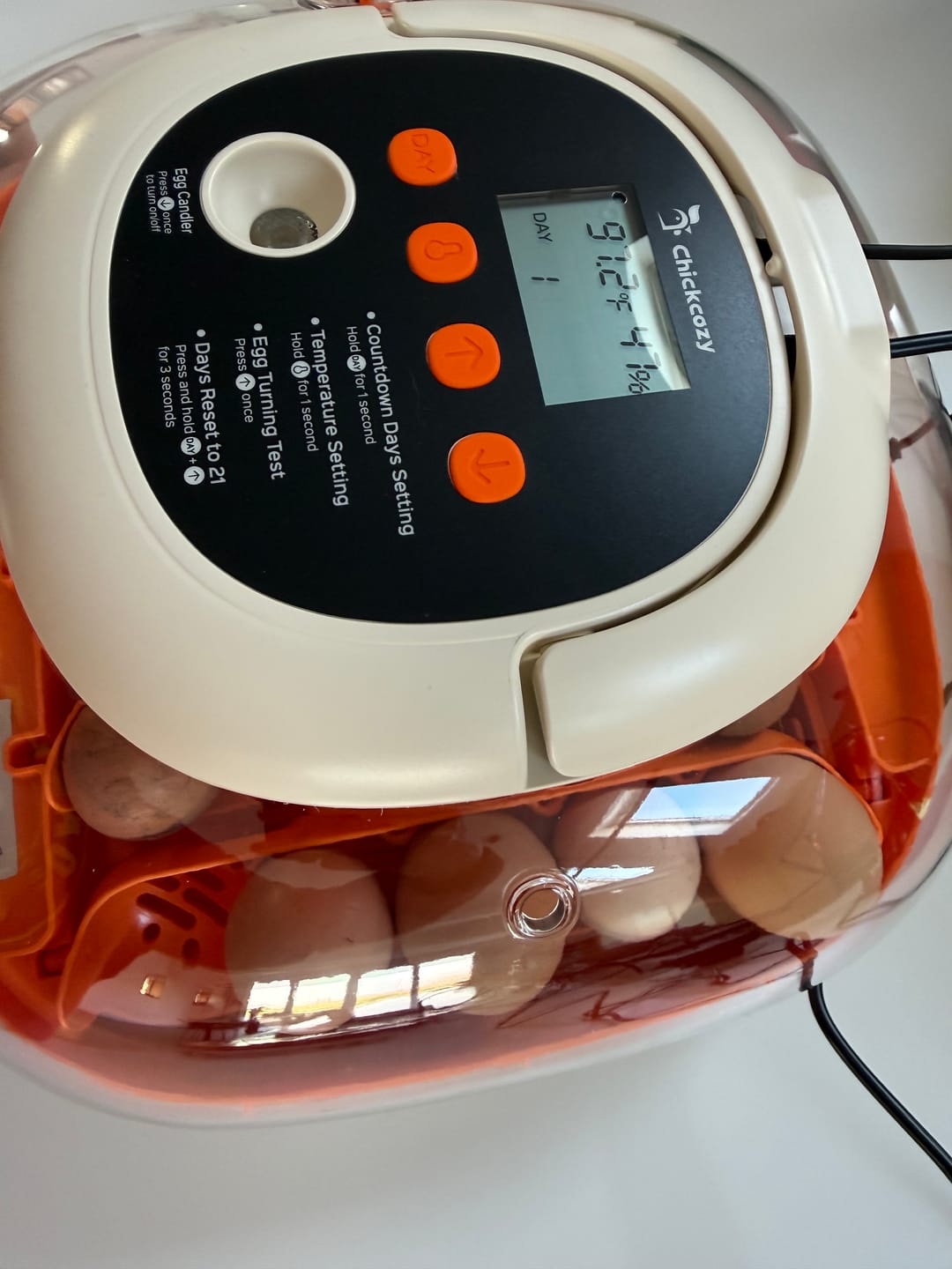 Customer photo review of Egg Incubator -25 Egg Capacity