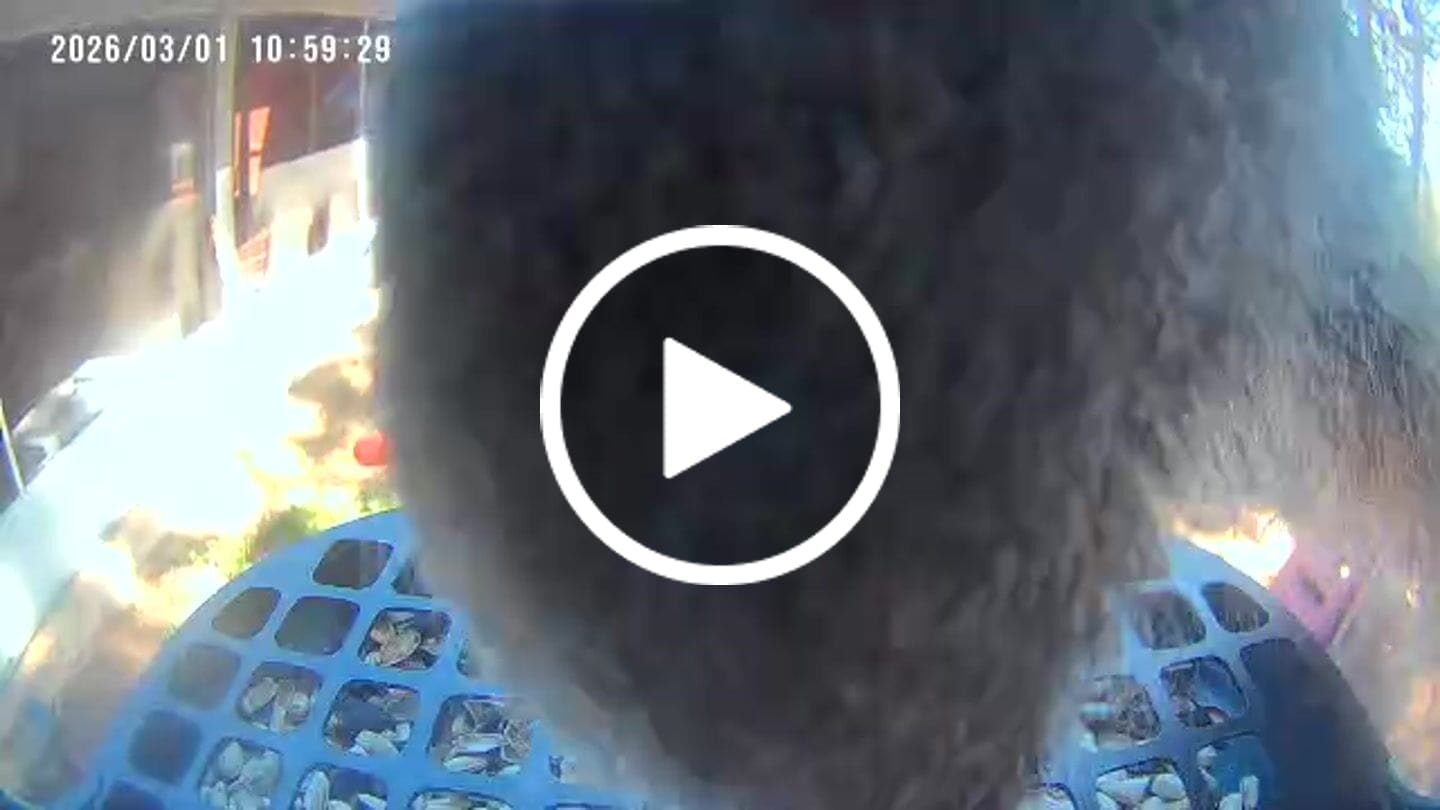 Customer video review of Squirrel Proof Mesh, compatible with P53n, TUC, PAV