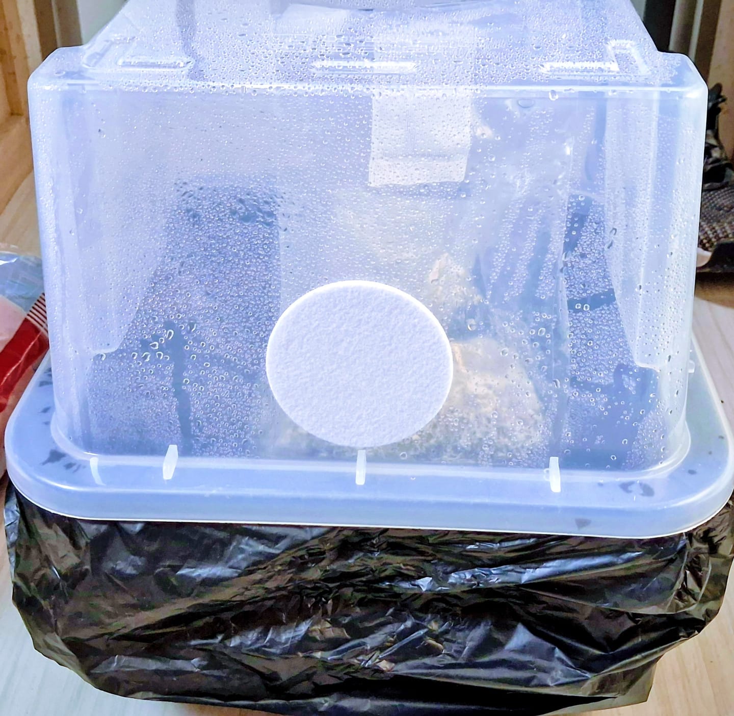 Customer photo review of 'Mark 1' Small Mushroom Monotub Package