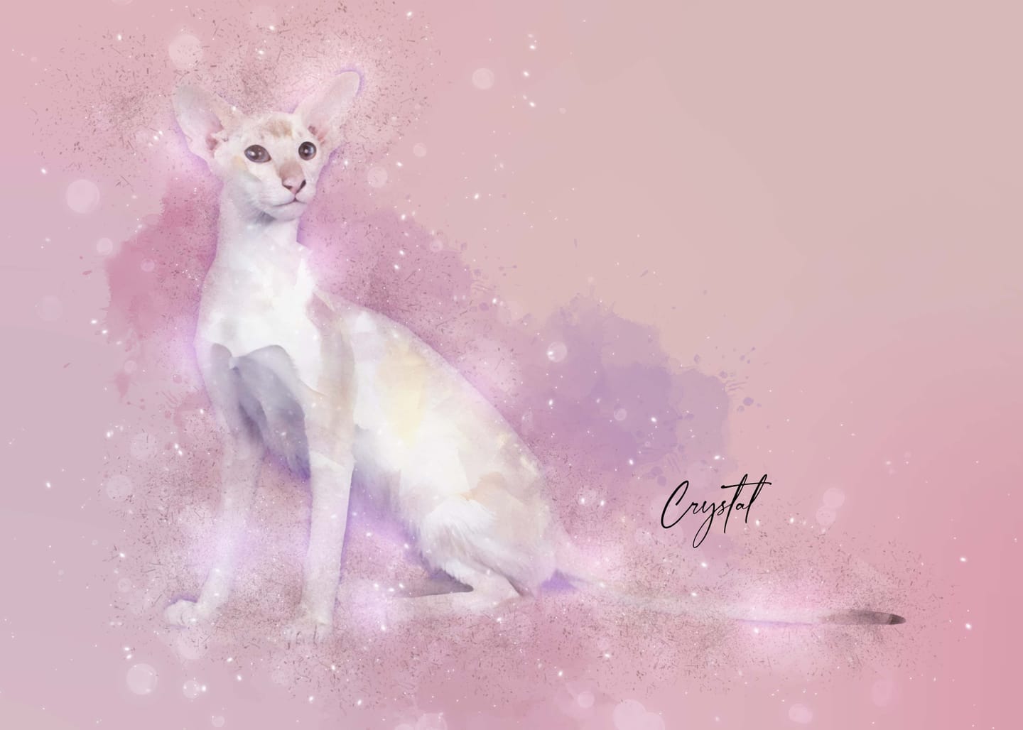 Customer photo review of Custom Watercolor Pet Portrait - Top Pick