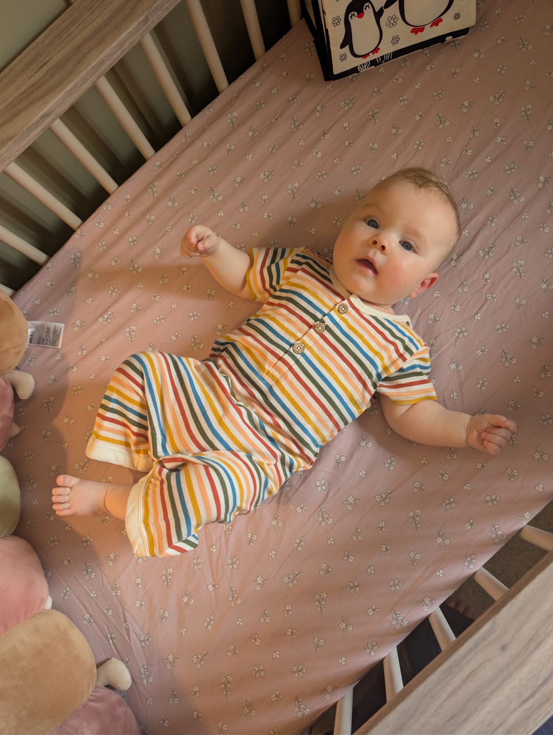 Customer photo review of Cream Rainbow Organic Romper
