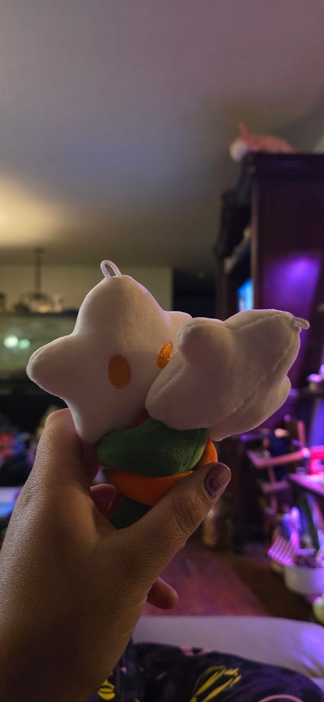 Customer photo review of Adopt a Star Baby Plush Blind Box
