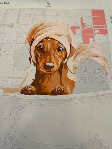 Reviewer's 'Dachshund & Cat in Bath' Paint by Number canvas shown in progress, with the dog partially painted.