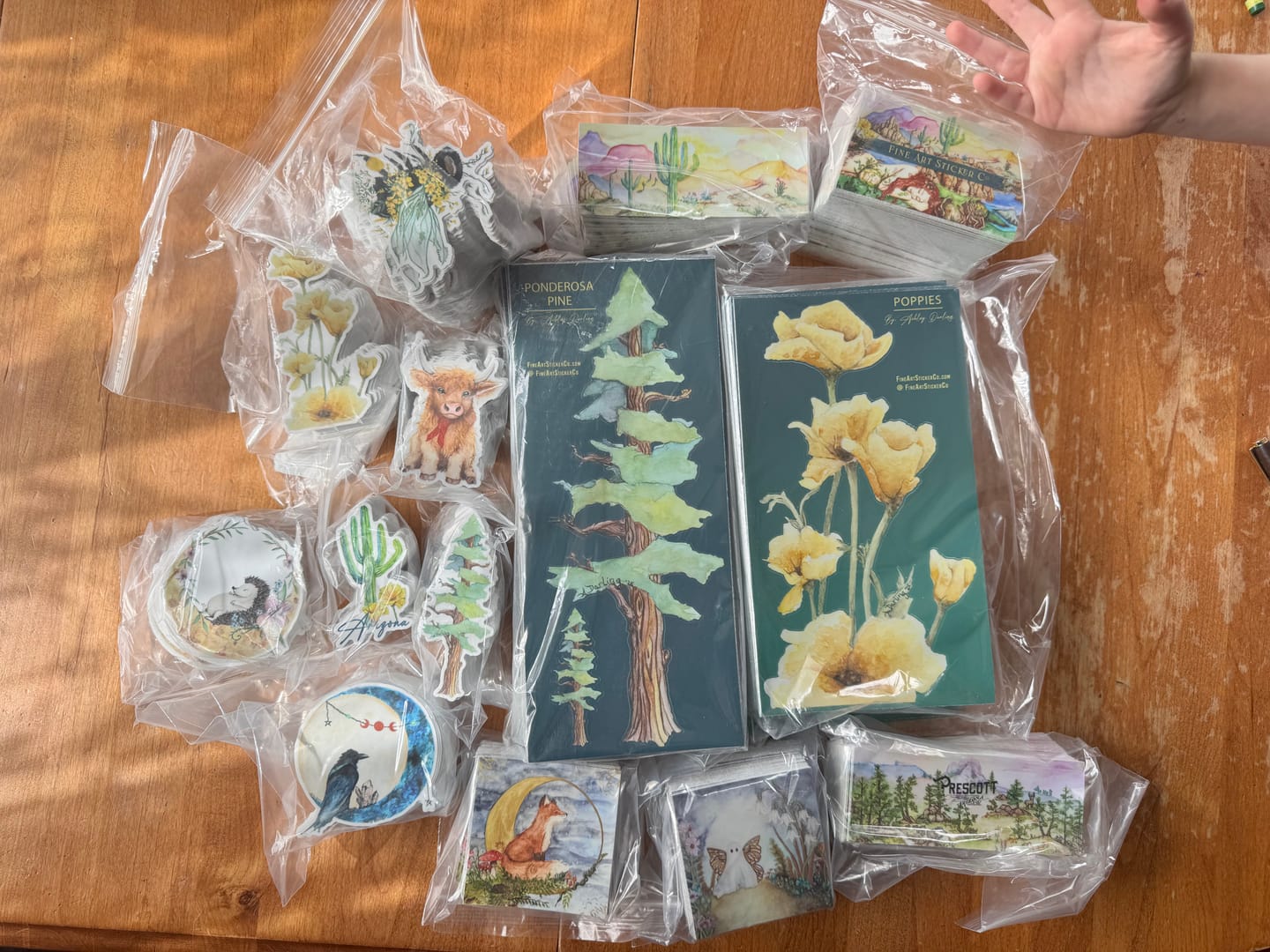 Customer photo review of Rectangle Stickers
