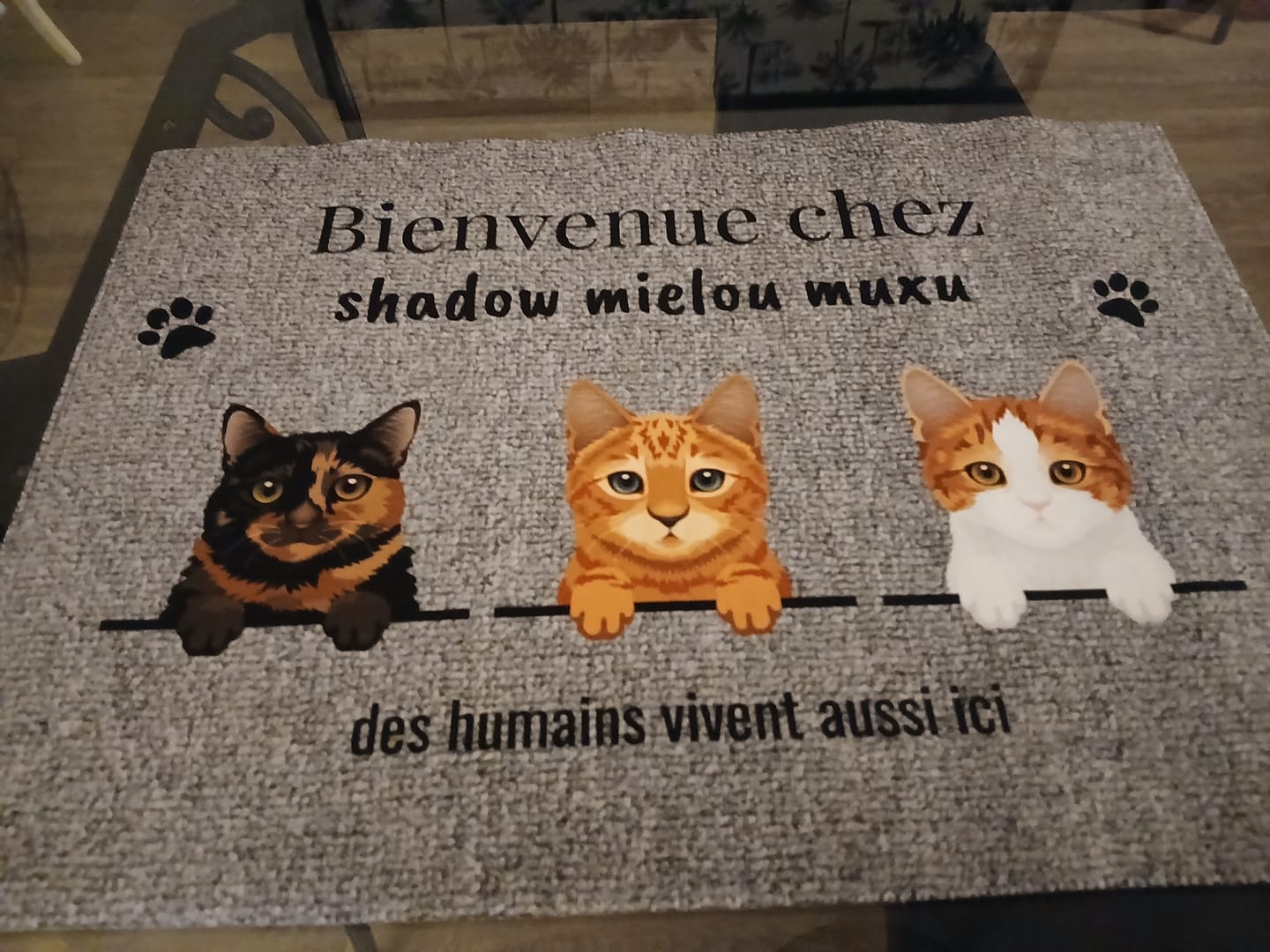 Customer photo review of Bienvenue chez - Paillasson personnalisé