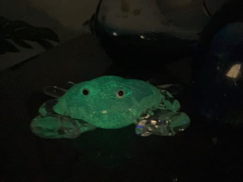 Customer photo review of Glass Glow in The Dark Crab Paperweight