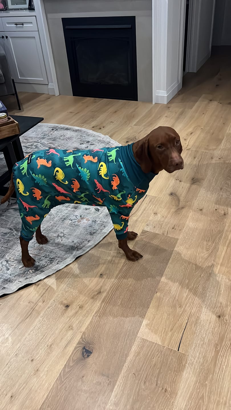 Customer photo review of Dog Pajama Prints