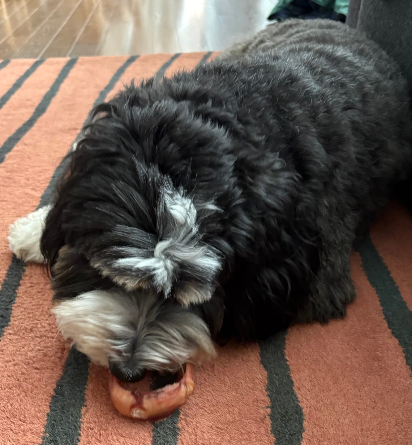 Customer photo review of Small Bully Stick Ring