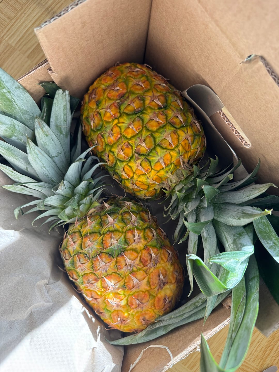 Customer photo review of Ananas Flugware reifgeerntet (stk. ca 1,5kg!) Aktionspreis %