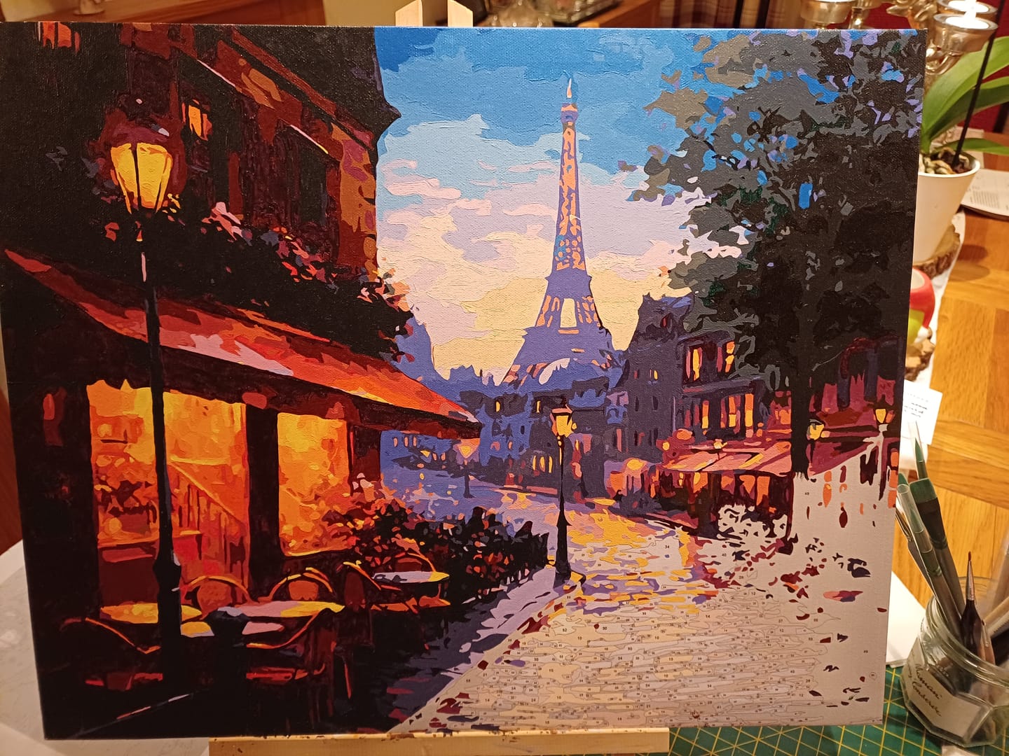 Customer photo review of Calm Streets of Paris