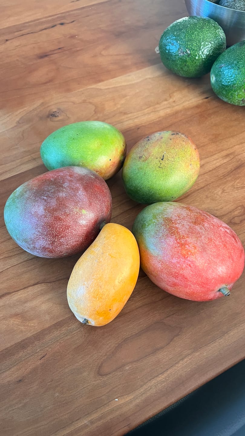 Customer photo review of Mango-Träume Mix-Box 2kg Sonderaktion %