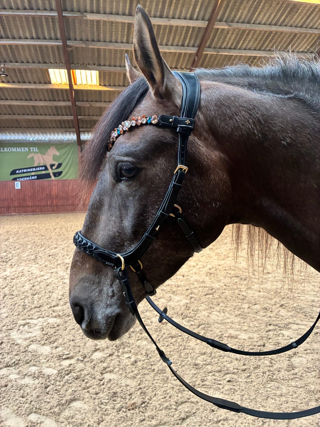 Customer photo review of Ania browband