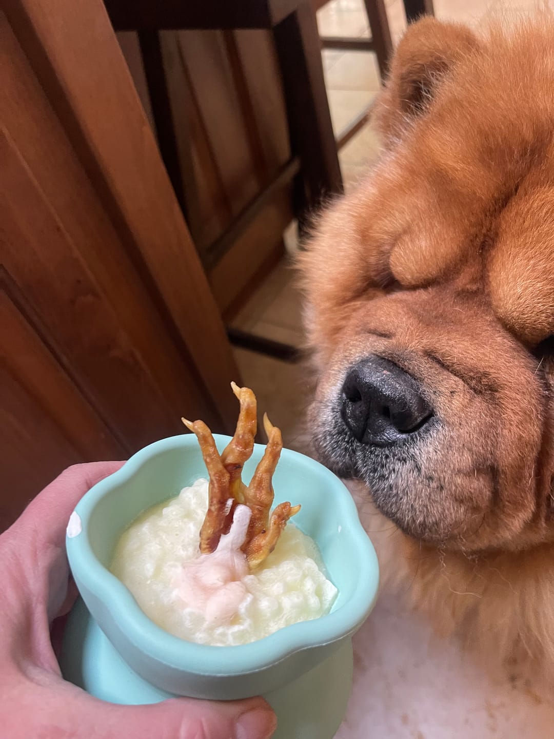 Customer photo review of Freezbone Whole Chicken Feet Dental Treats for Dogs - Human Grade - Single Ingredient