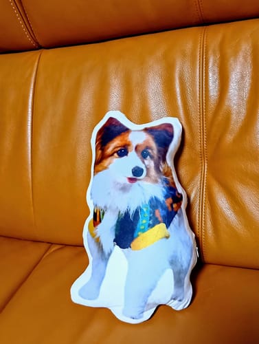 Customer photo review of 本物そっくり♪ペットクッション