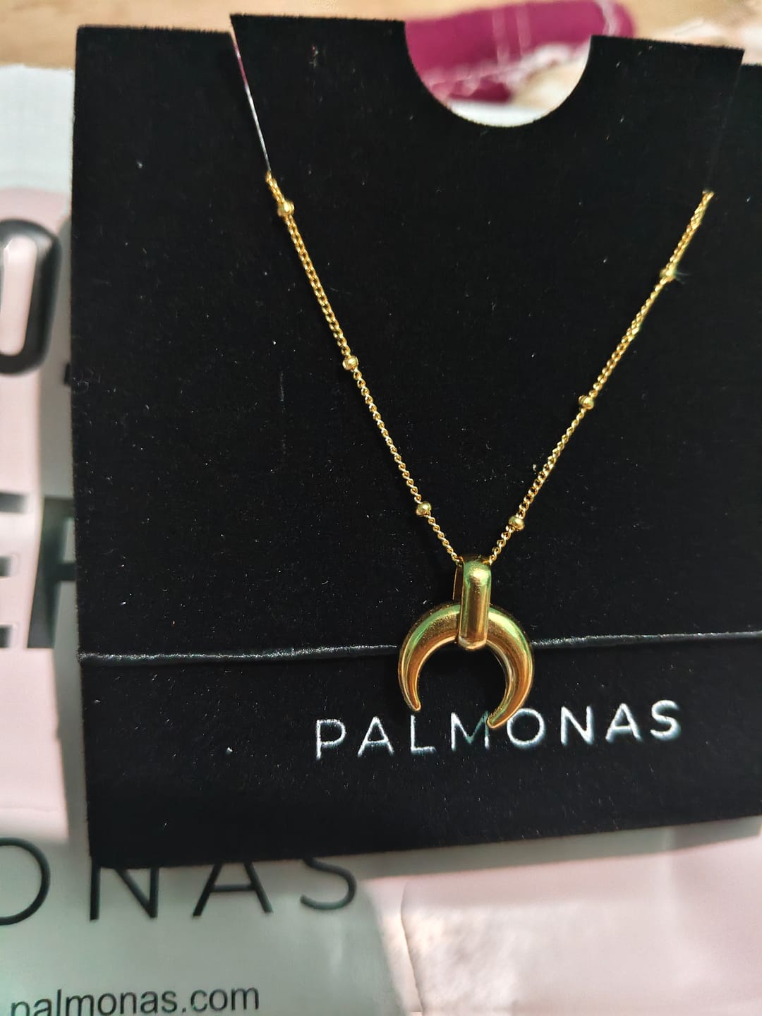 Customer photo review of Tiny Horn Necklace