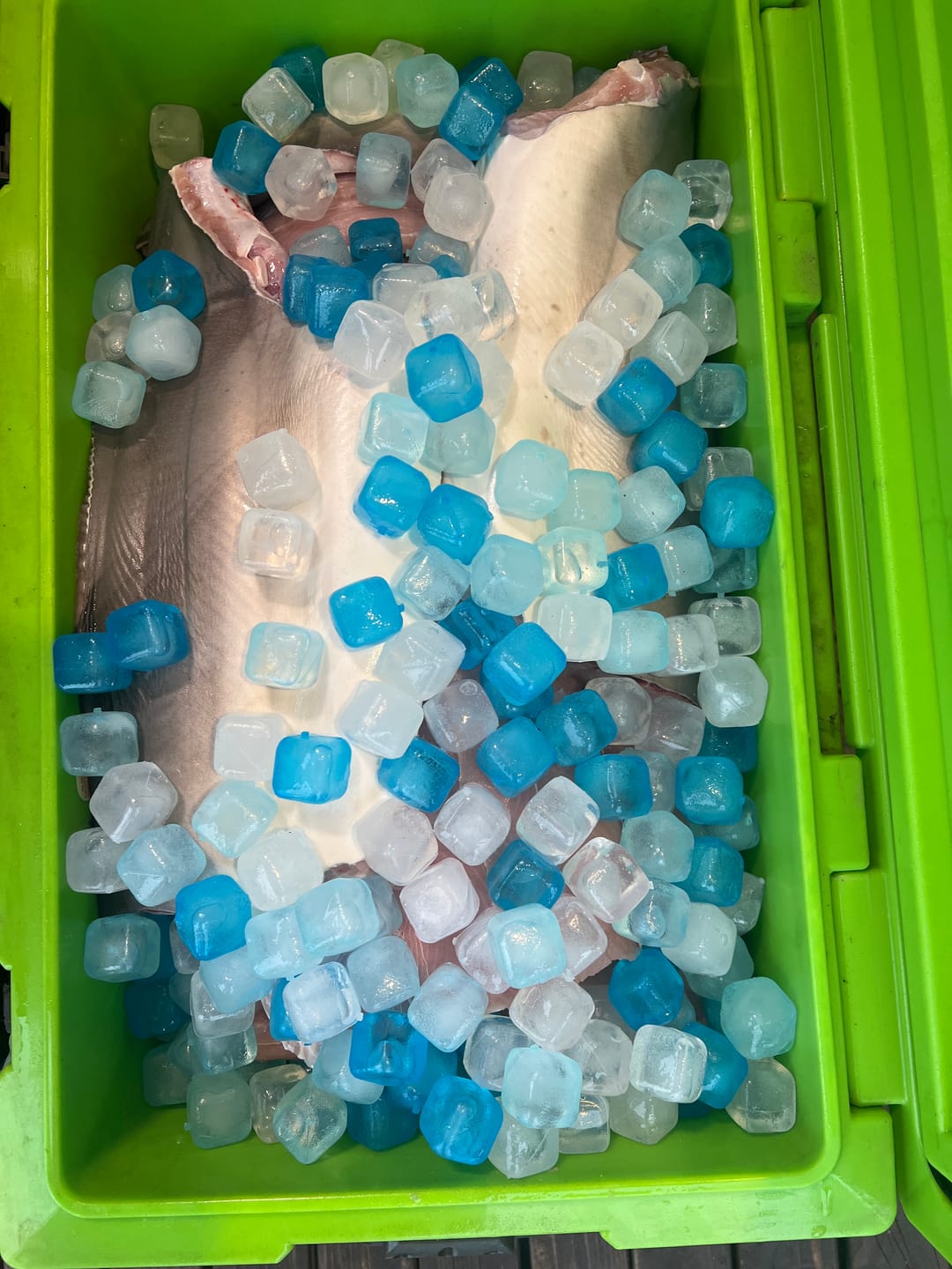 Customer photo review of Mega Freeze | Blue Ice | 5kg Black Bag